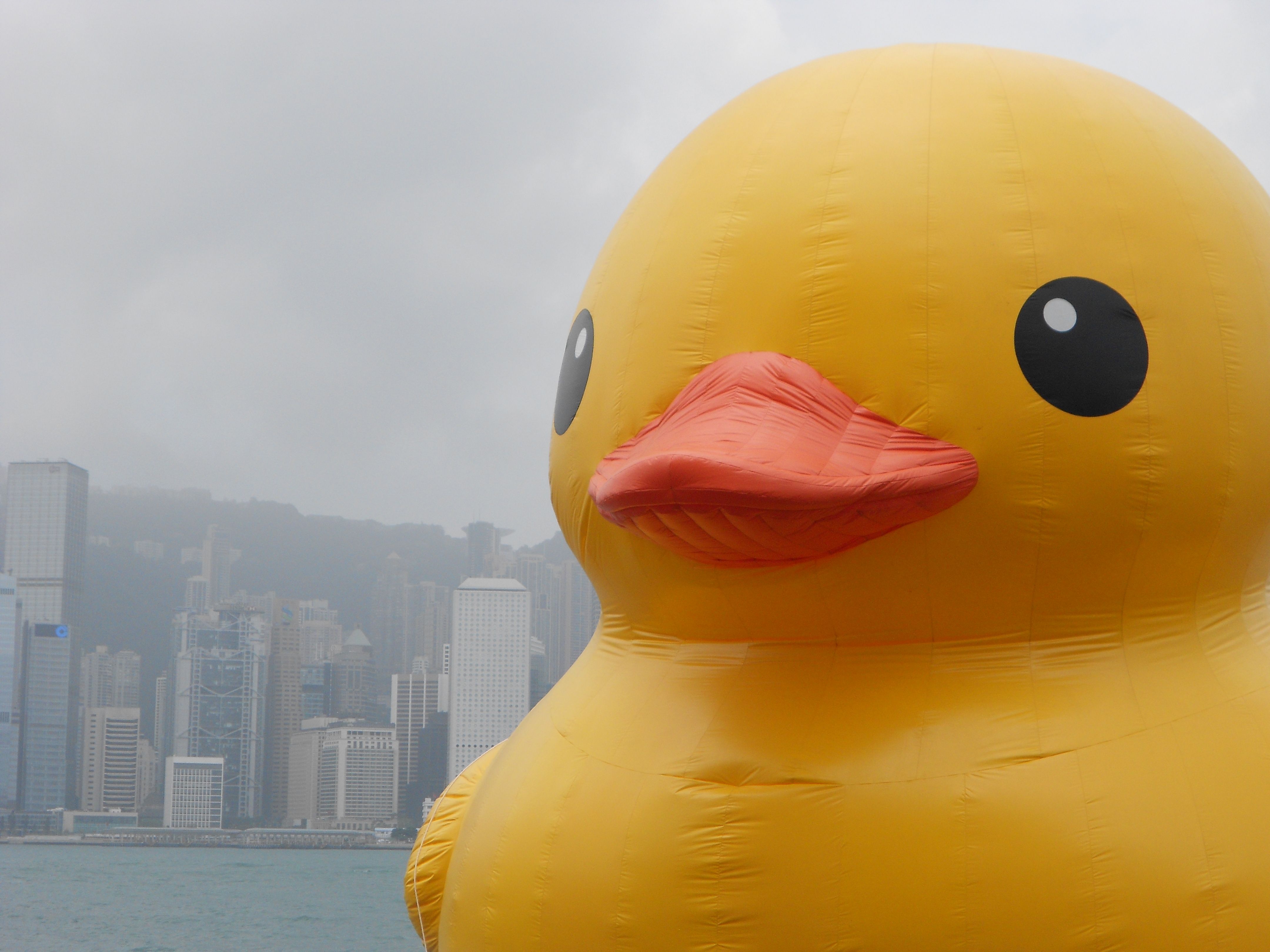 The world's largest rubber duck in Hong Kong harbour.